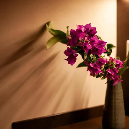 Traimari Ferienhaus Trani